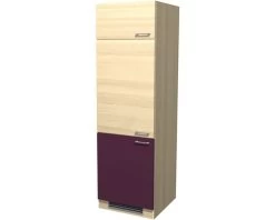 FLEX WELL Apparatenombouwkast Focus 60x200x57 Cm